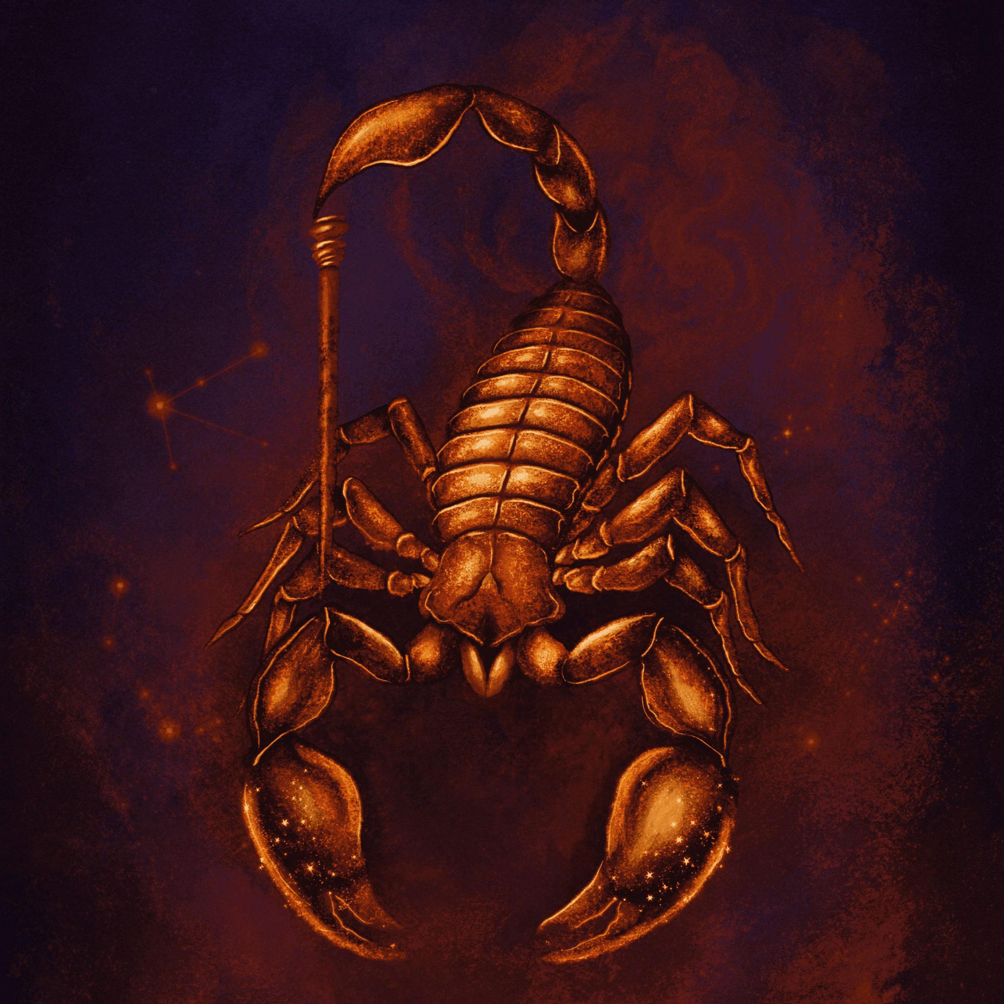 Štír ilustrace